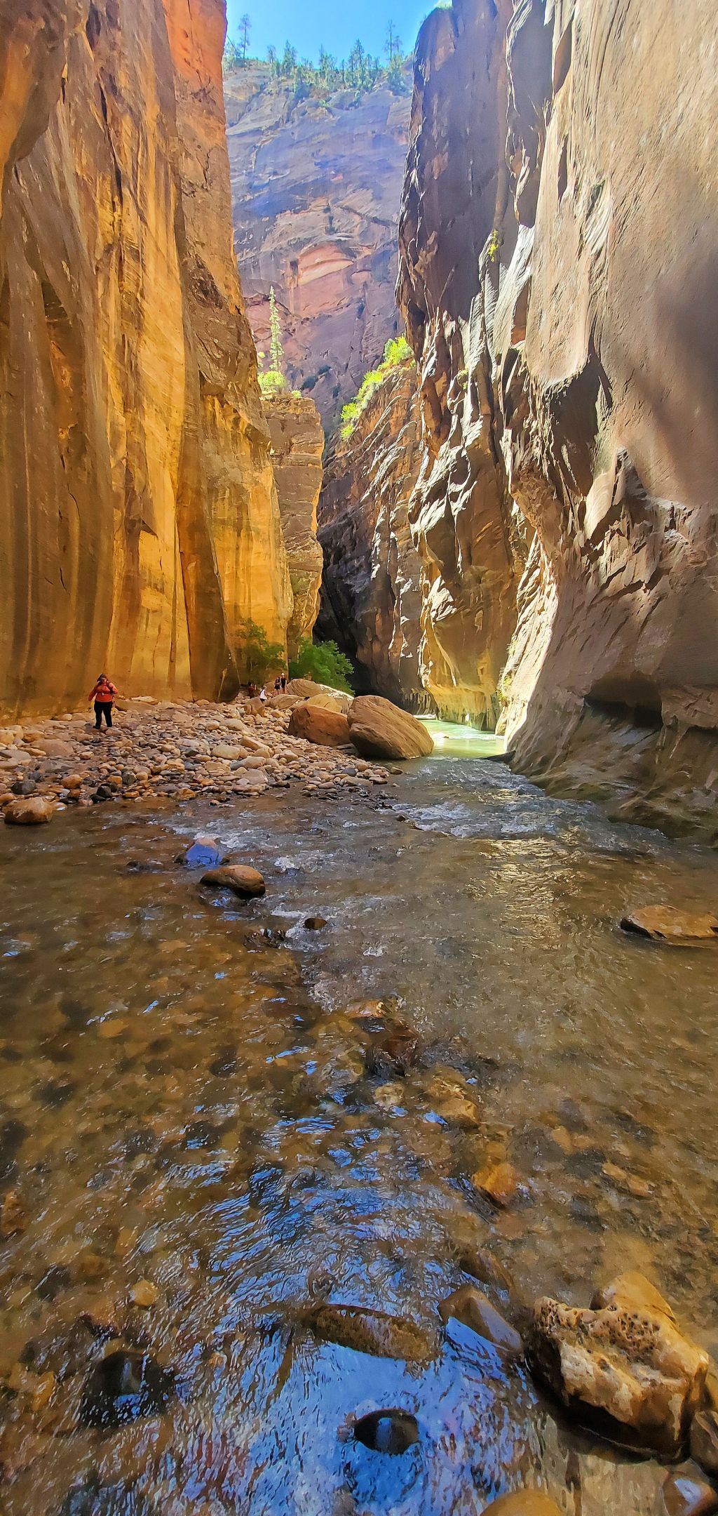 Fear Brings God’s People to&nbsp;Him