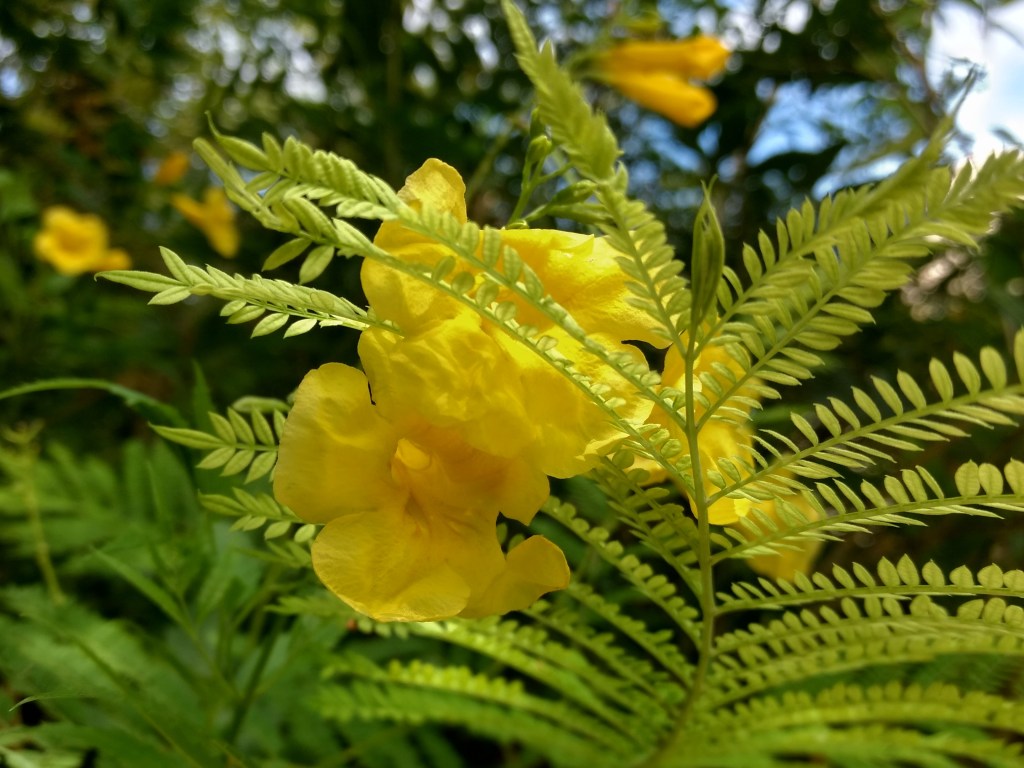 A Reflection of Motherhood