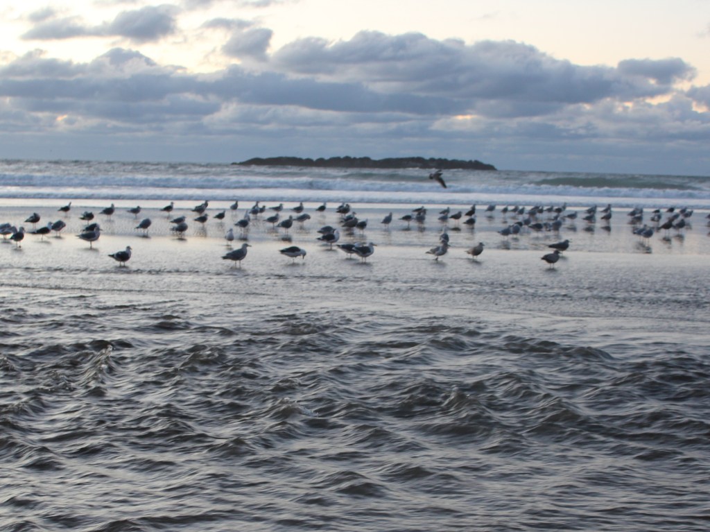 What Will Separate&nbsp;Us?