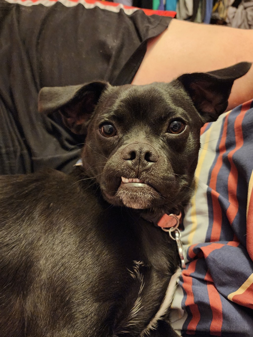 The More, the&nbsp;Merrier